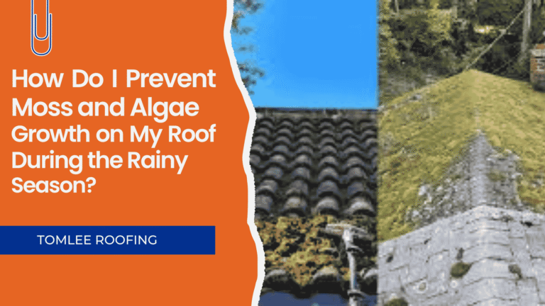 How to prevent moss and algae on roof during rainy season with before and after examples.