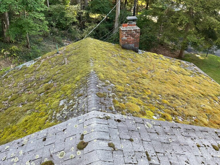 Moss on roof can also affect roof's life