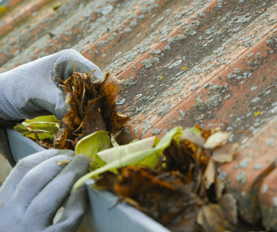 Showing how to prevent Moss and Algae on Roof.