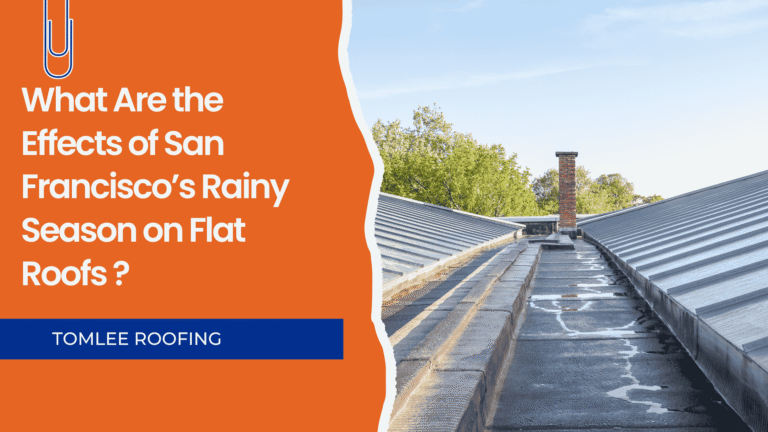 Flat roof in San Francisco during rainy season showing water pooling