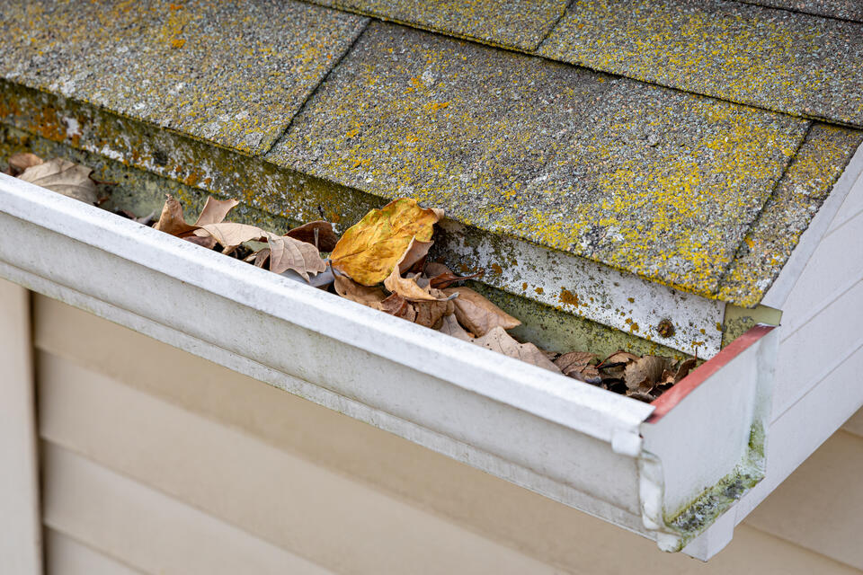 granules in glutters can affect the roof life