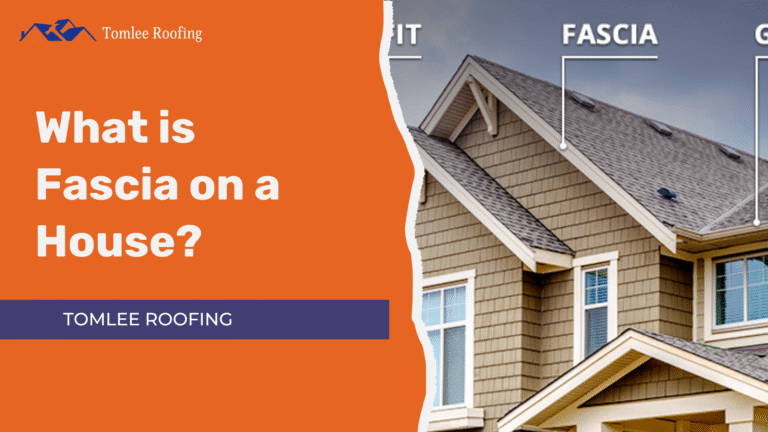 featured image of article "what isfascia?" showing a house labelled with fascia.